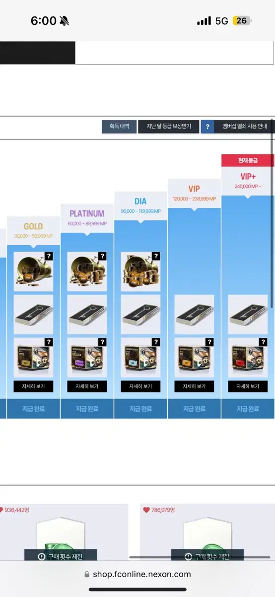 Fc온라인 피파굿즈 순비피 193조 팝니다  Vip+ 쿨거네고