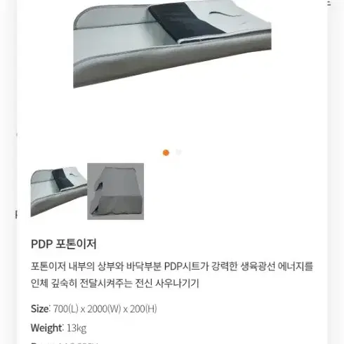 바이오포톤 포톤이저