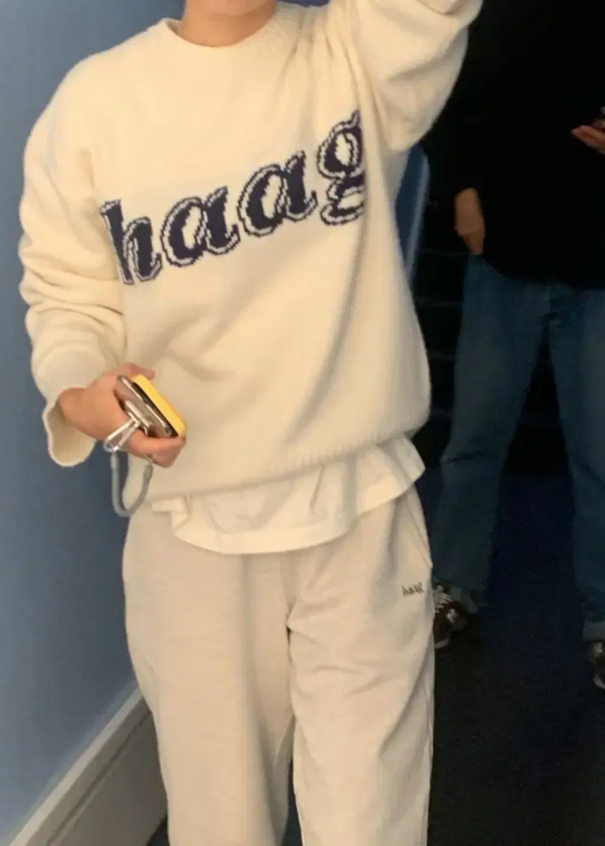 헤이그 니트 haag a sweater snow