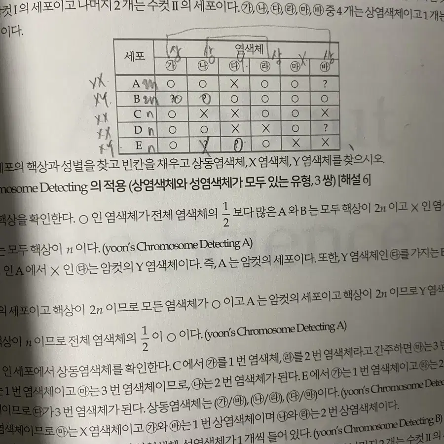 윤도영 AA 올어바웃 2024 대비 교재