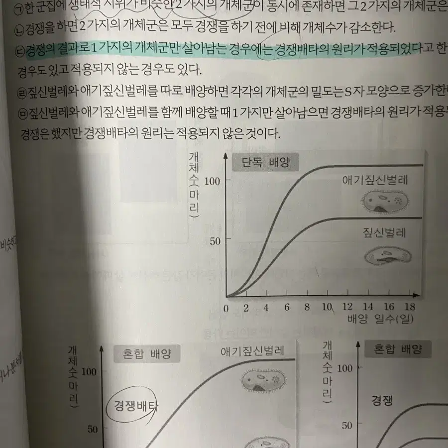 윤도영 AA 올어바웃 2024 대비 교재