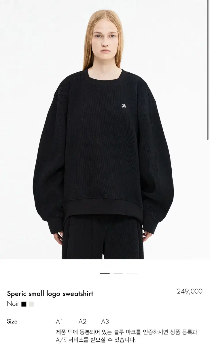 Ader Error Speric Small Logo Sweatshirt