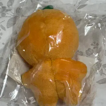 セブチ　スングァン　ぬいぐるみ　뿌라봉　seventeen 부승관 세븐틴 뿌라봉 부승관 승관 인형 | 브랜드 중고거래 플랫폼, 번개장터