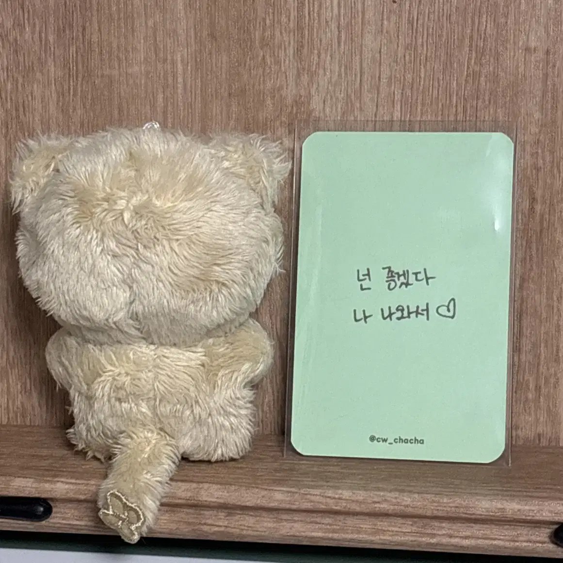 채원 10CM 인형 챠챠