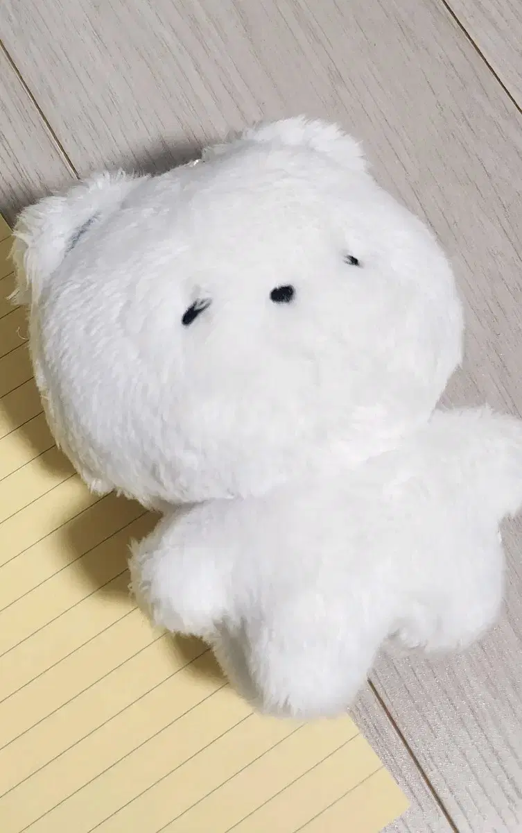 부곰 인형