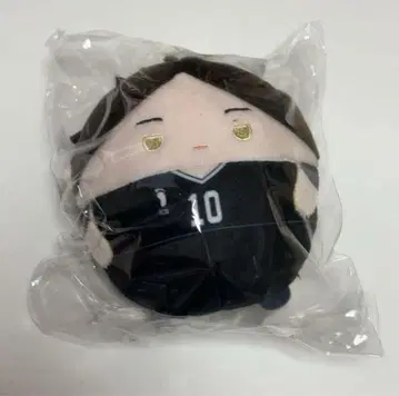 하이큐 후와코로린