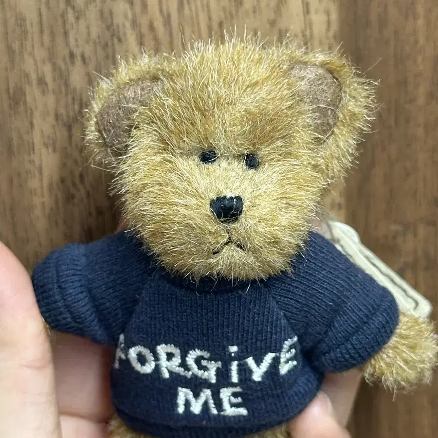 보이즈베어 쪼꼬미 forgive me