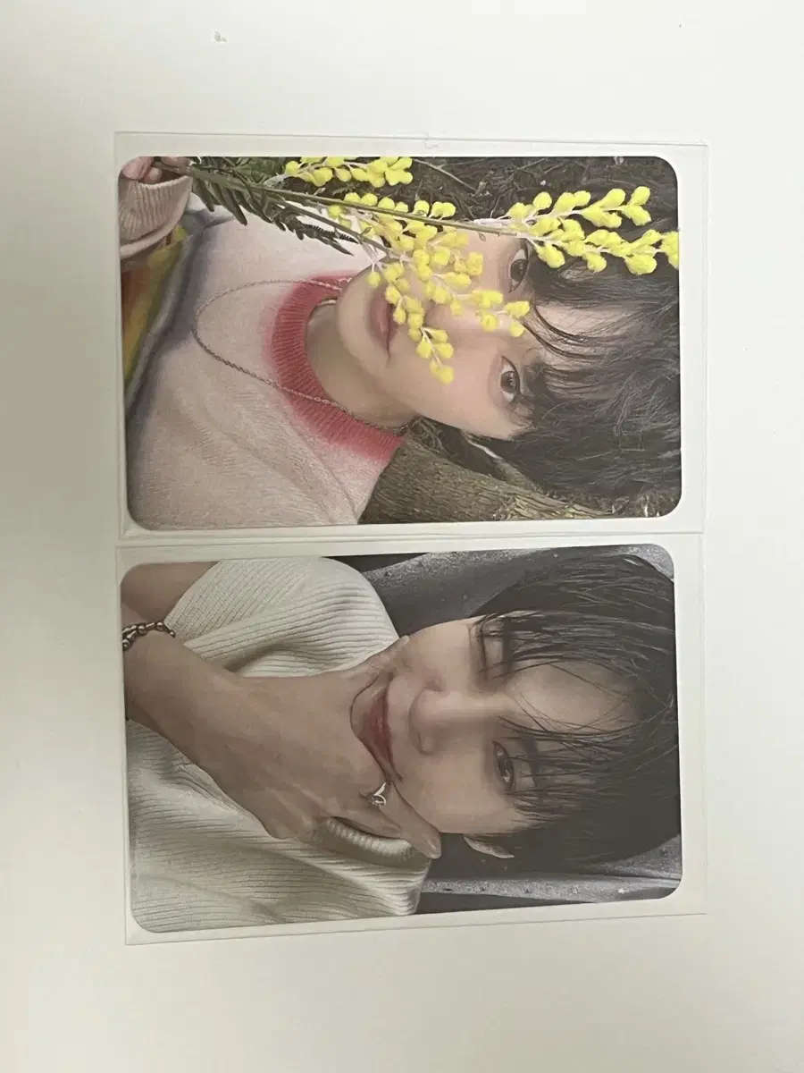 Doyoung Photocard Sales