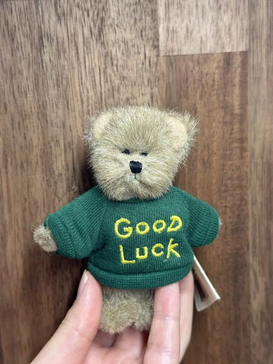 쪼꼬미 보이즈베어 good luck 초록