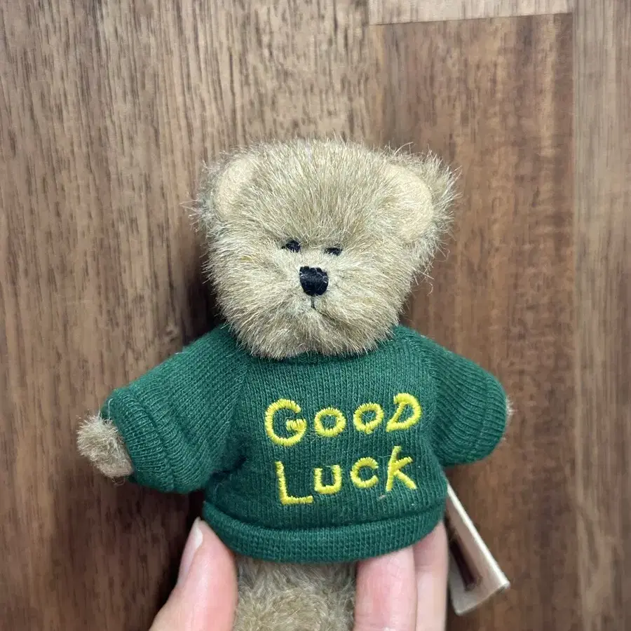 쪼꼬미 보이즈베어 good luck 초록