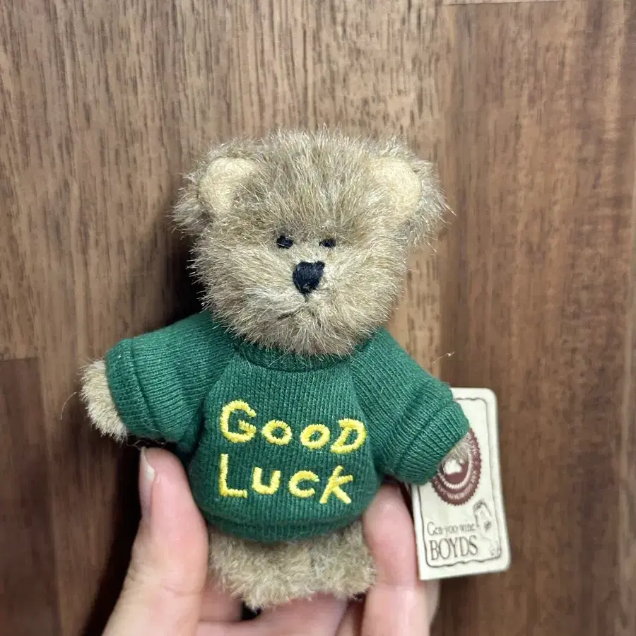 쪼꼬미 보이즈베어 good luck 초록