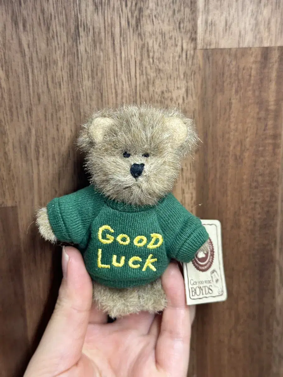 쪼꼬미 보이즈베어 good luck 초록