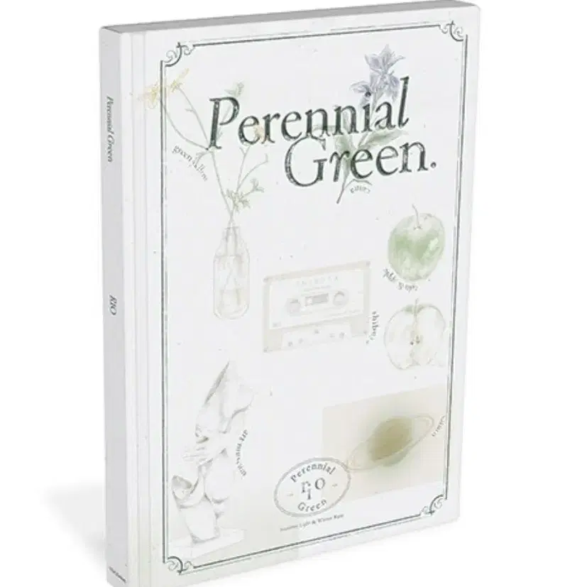 리오 RIO 앨범  Perennial Green  [미개봉]