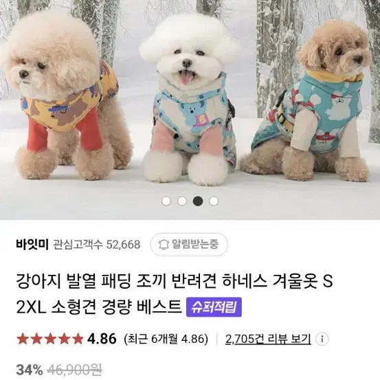 강아지 패딩 바잇미 발열 패딩