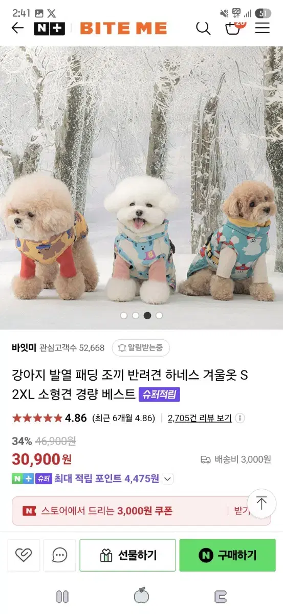 강아지 패딩 바잇미 발열 패딩