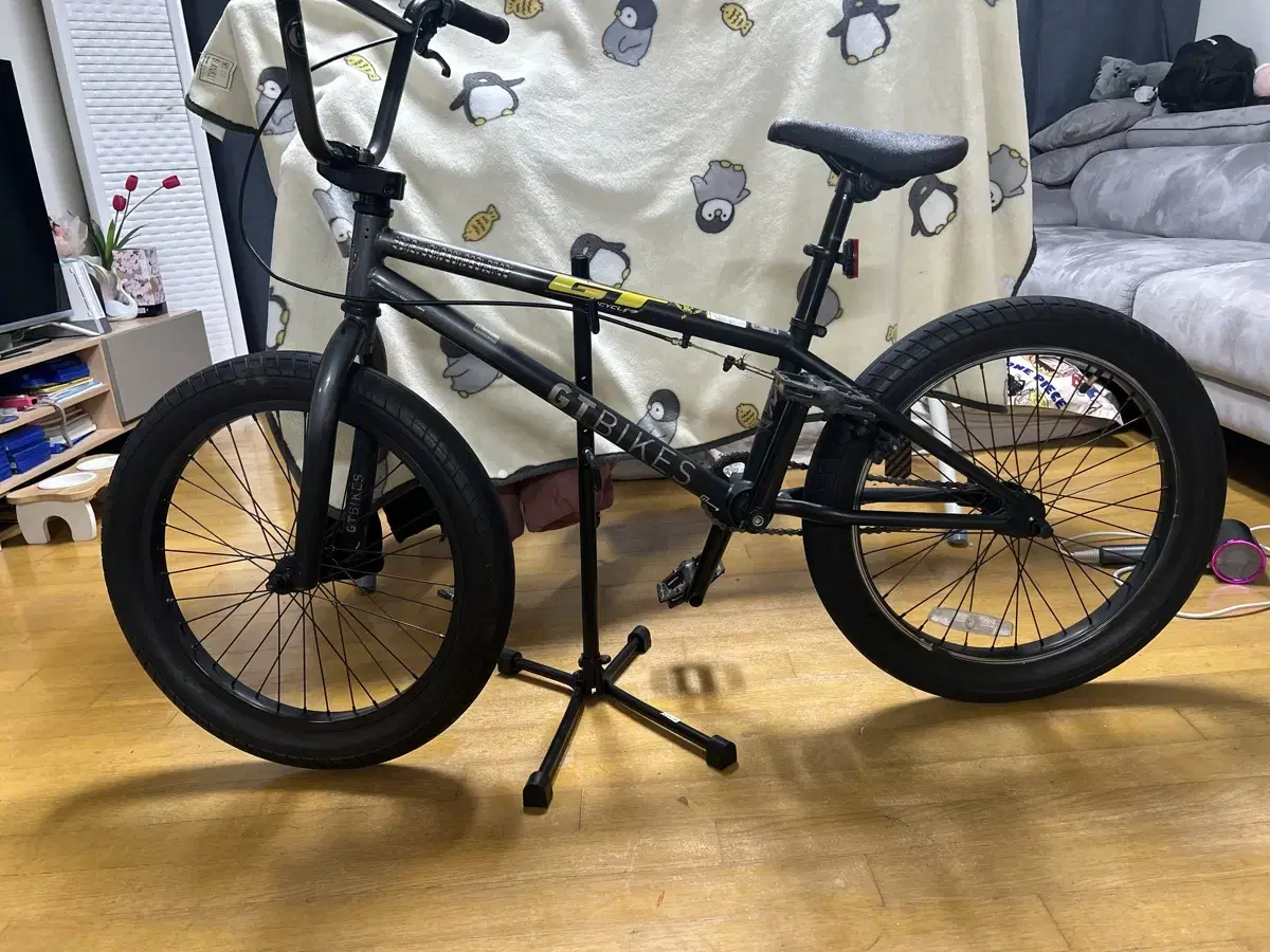 Bmx 입문 자전거 팝니다