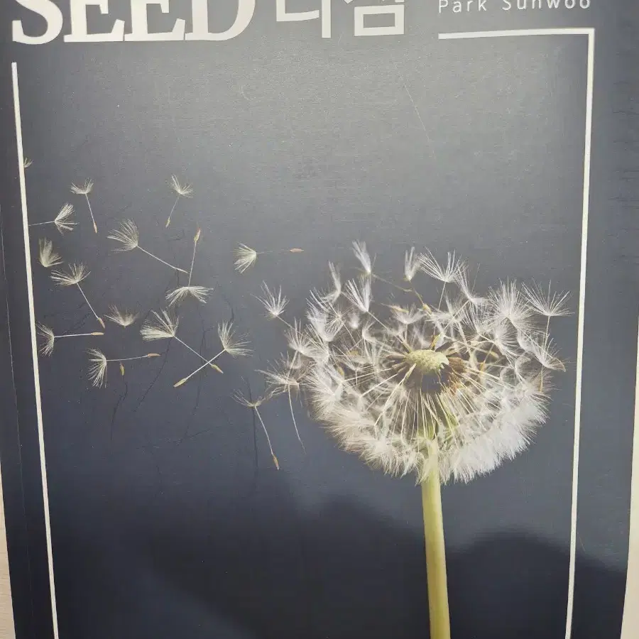 대성마이맥 박선우 SEED 다짐교재 새책