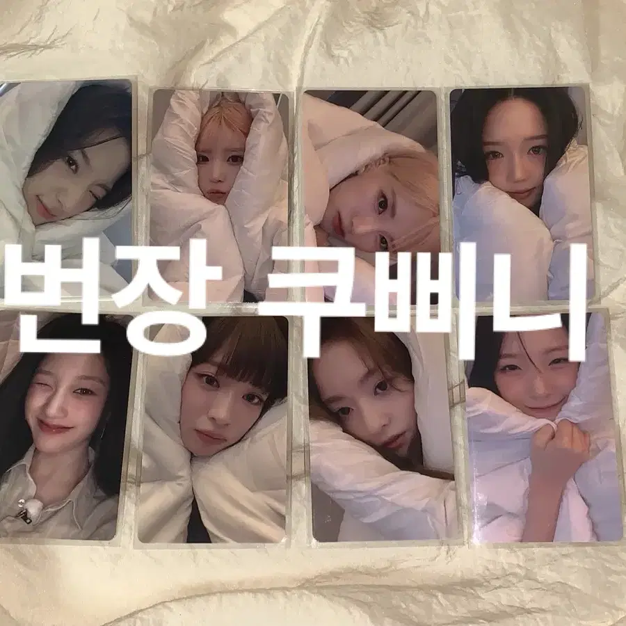 프로미스나인 위버스 이불포카 양도