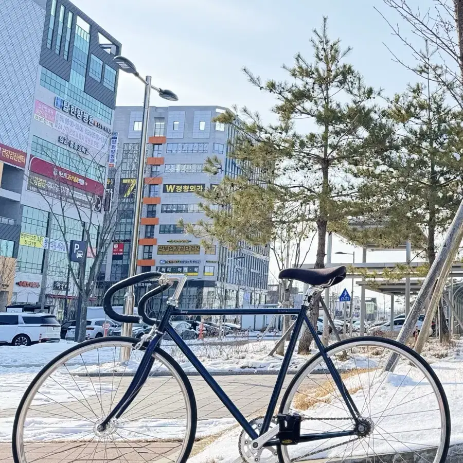 벨로라인 루시 픽시(M) 판/대 무하자급(추물,추금 보유)