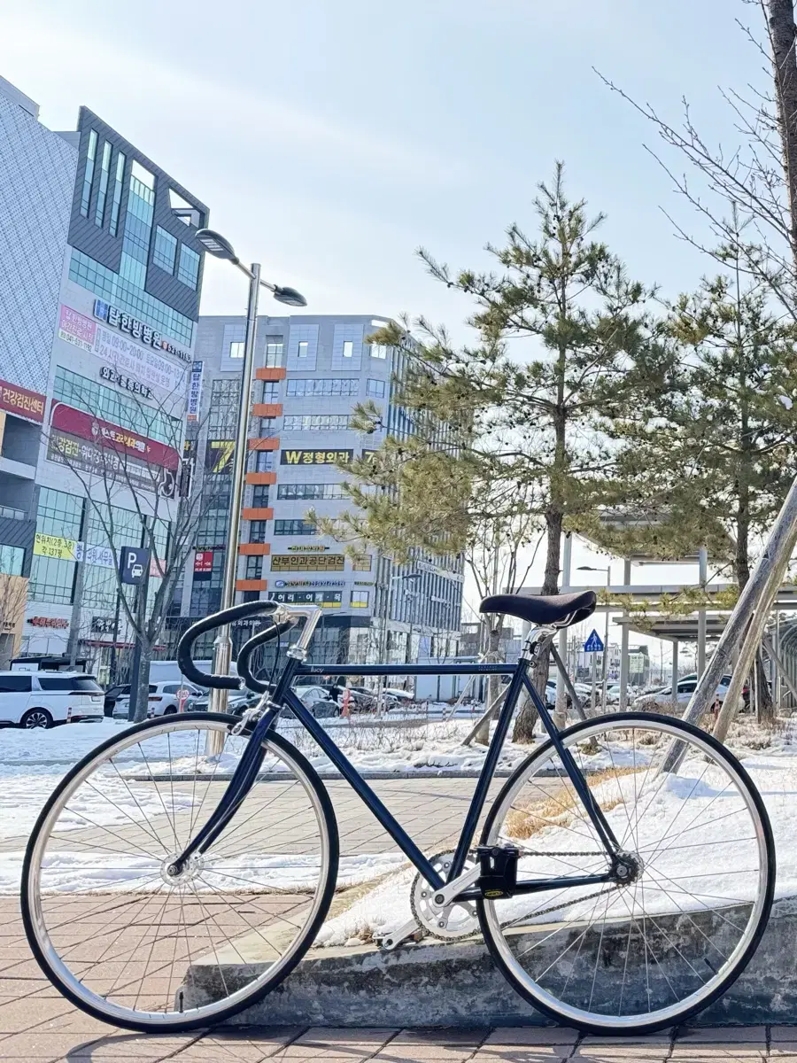 벨로라인 루시 픽시(M) 판/대 무하자급(추물,추금 보유)