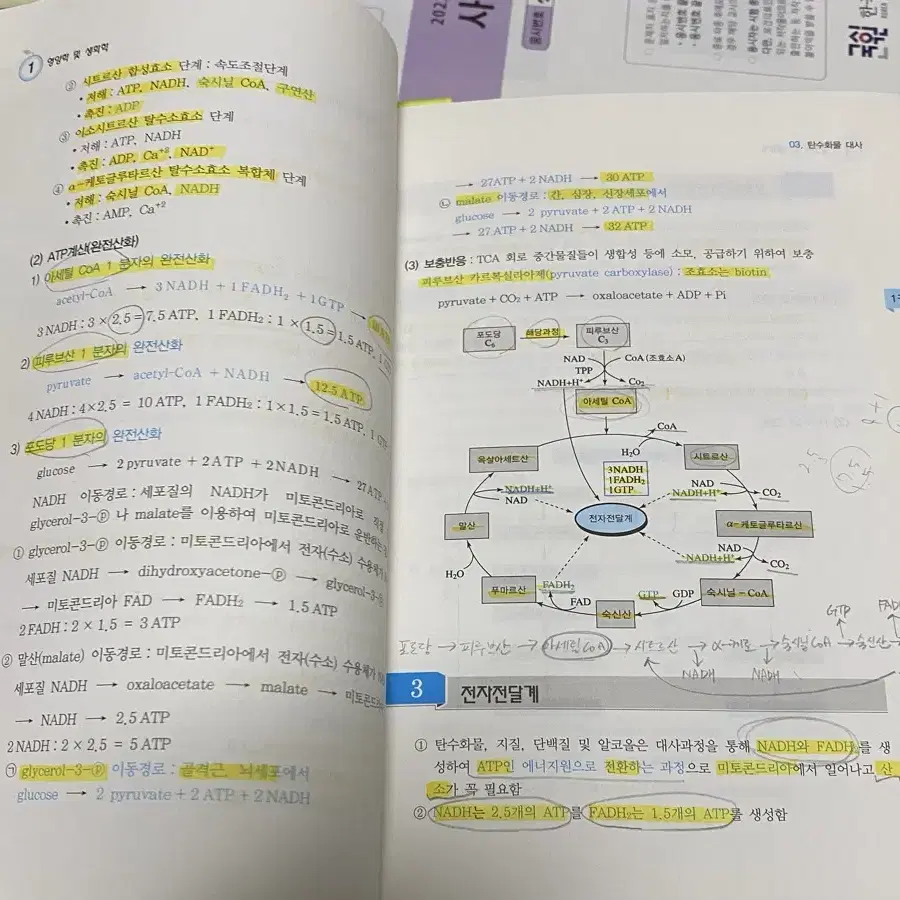 영양사 요점정리 기출 문제집