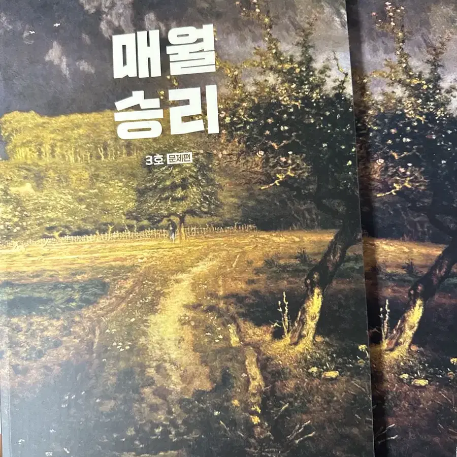 2025 매월 승리 3,4호