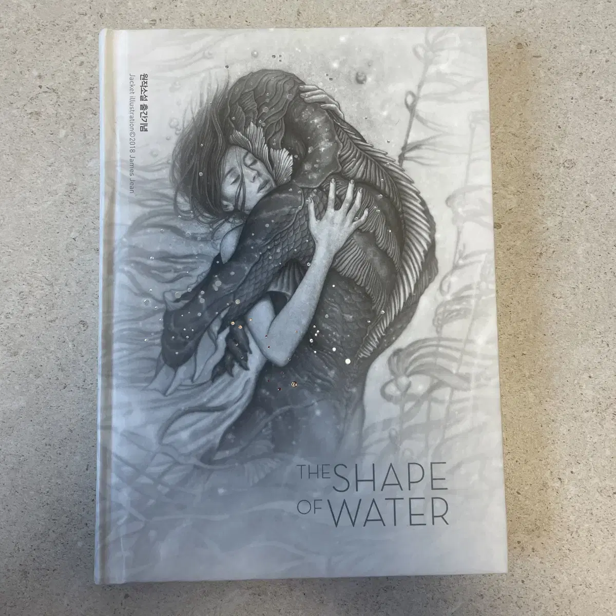 Shape of Water Hardcover Notes