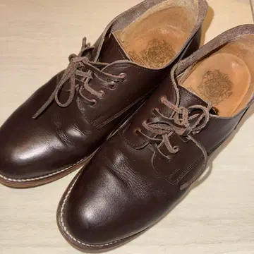 저널 스탠다드 신발 가죽 신발 스니커즈 110411