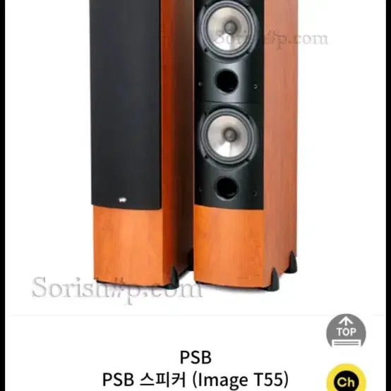 패시브 스피커 PSB PSB 스피커 (Image T55)