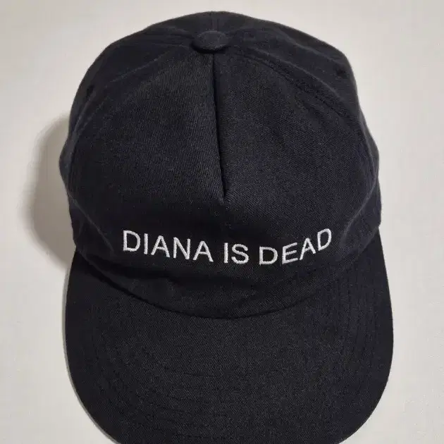 도넛리벤지 캡 DIANA IS DEAD 판매