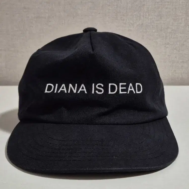 도넛리벤지 캡 DIANA IS DEAD 판매