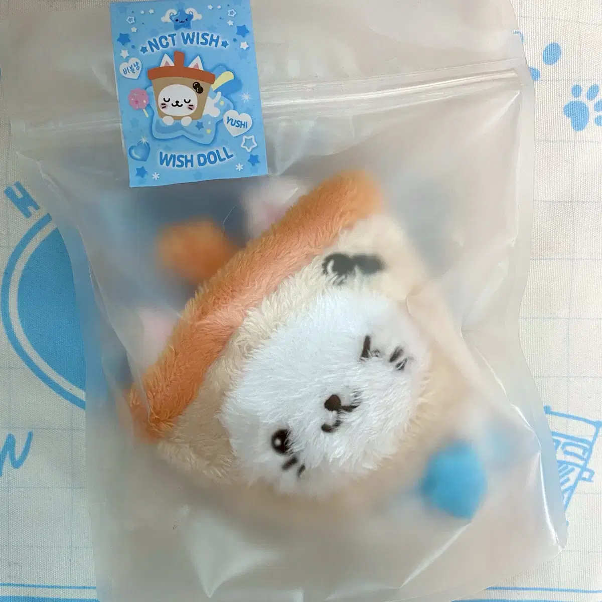 Bubblecat (Sealed) NCT Wish U-SHi doll Bubblecat sealed WTS