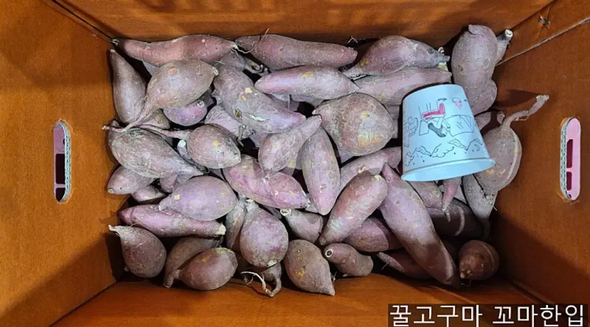 전남 나주 꿀고구마 10kg 한정판매 (작은사이즈)