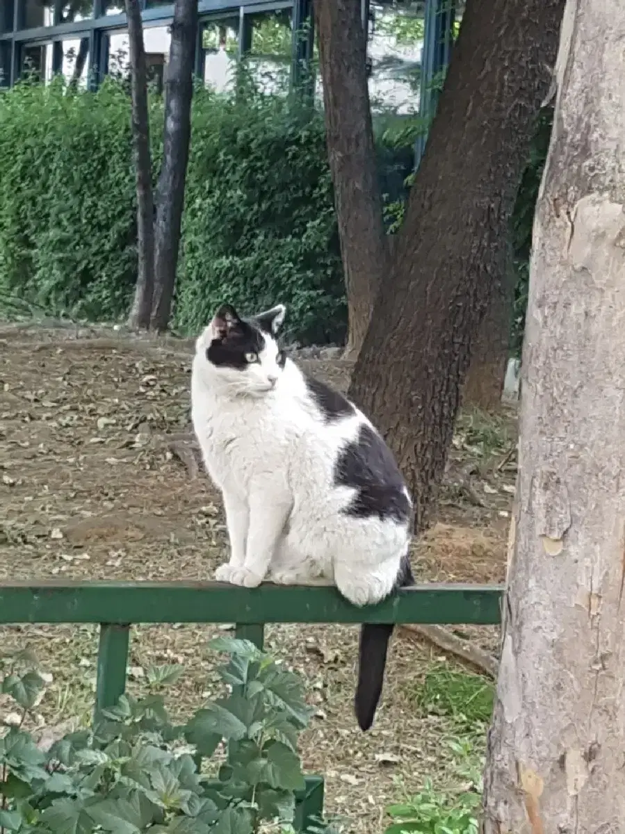 얼굴만으론 좋아할 수 없어요 올초판