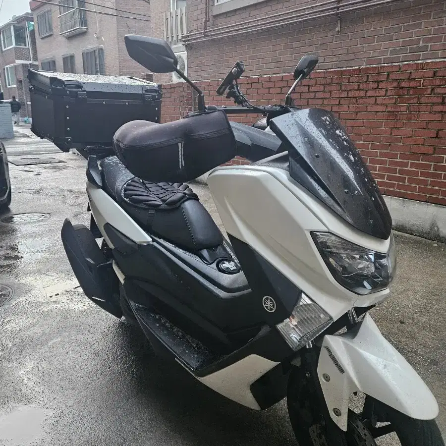 NMAX125(2019년식)(폐지완료)