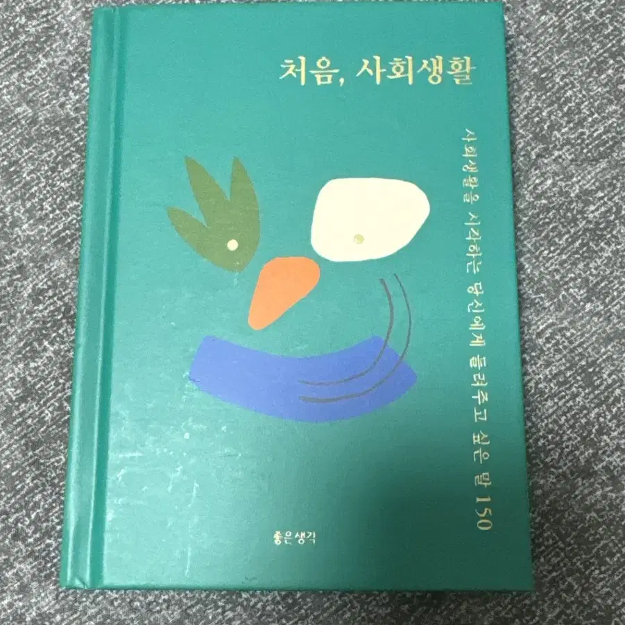 처음, 사회생활