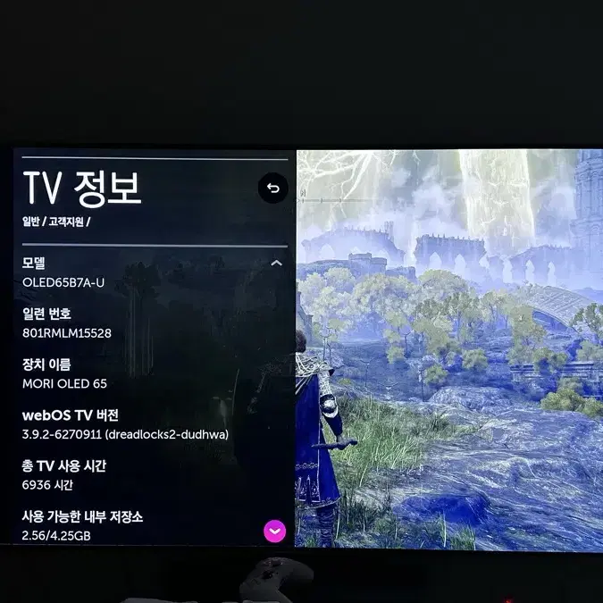 LG 65인치 4K OLED TV 판매합니다.(번인)