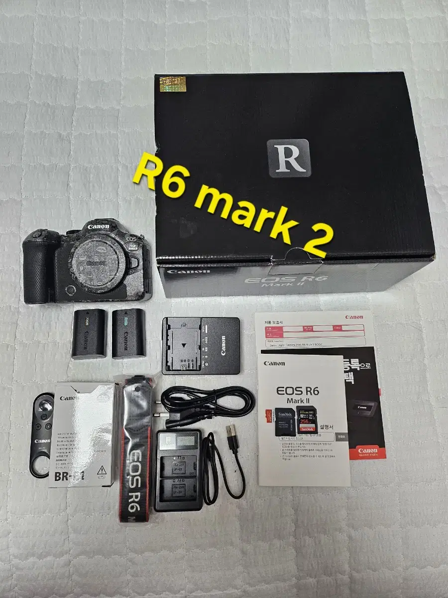 캐논 R6 mark2 body