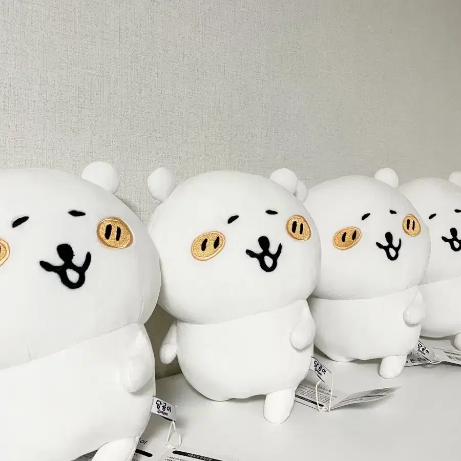 (정품)농담곰 30cm 모찌 중형 인형 신상