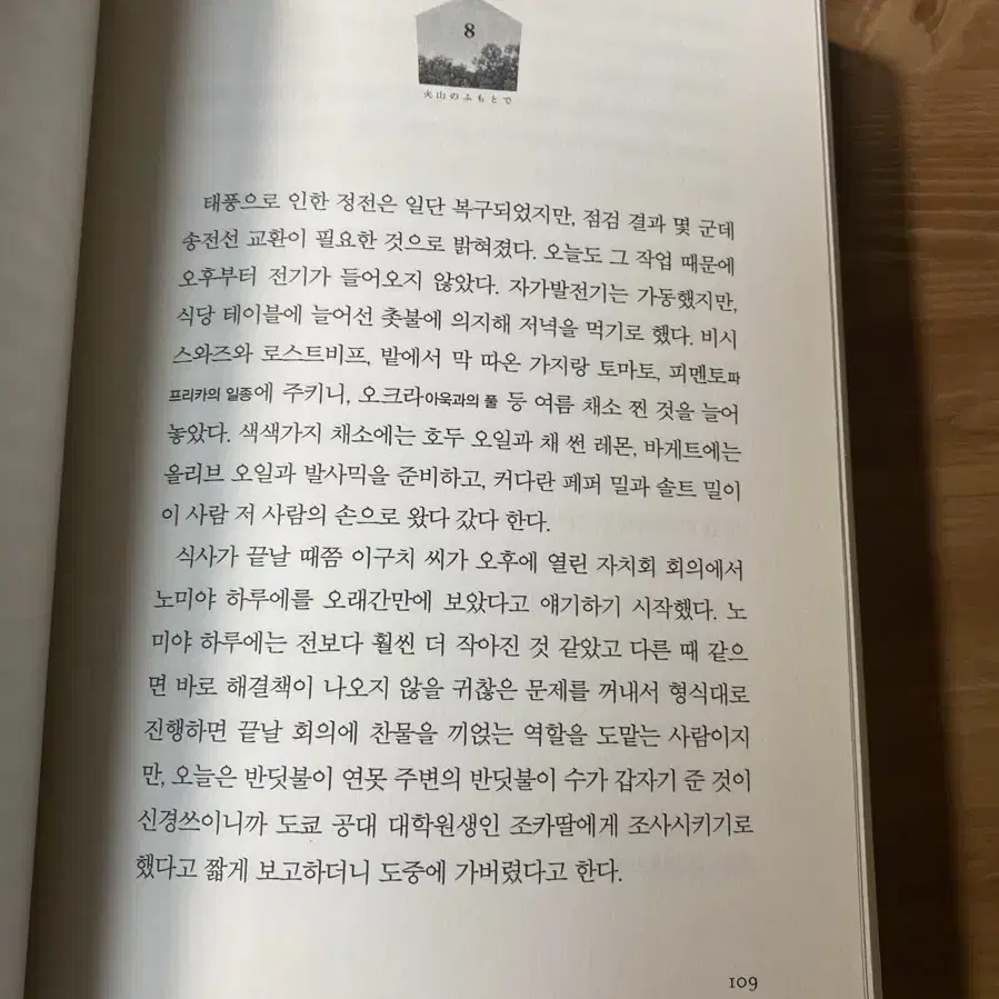 여름은 오래 그곳에 남아