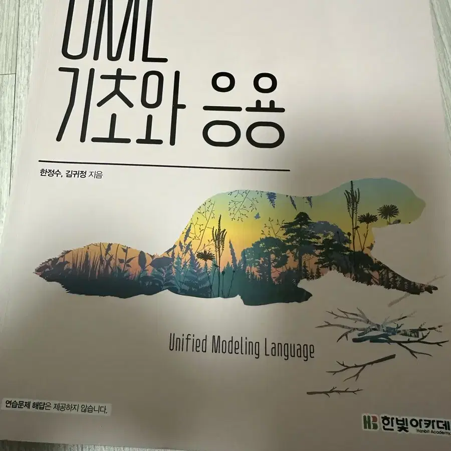 UML 기초와 응용 책