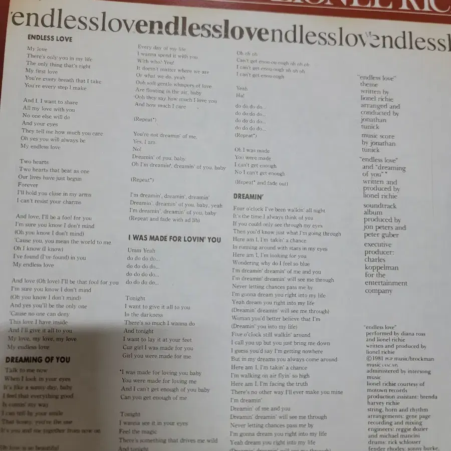 ENDLESS LOVE LP