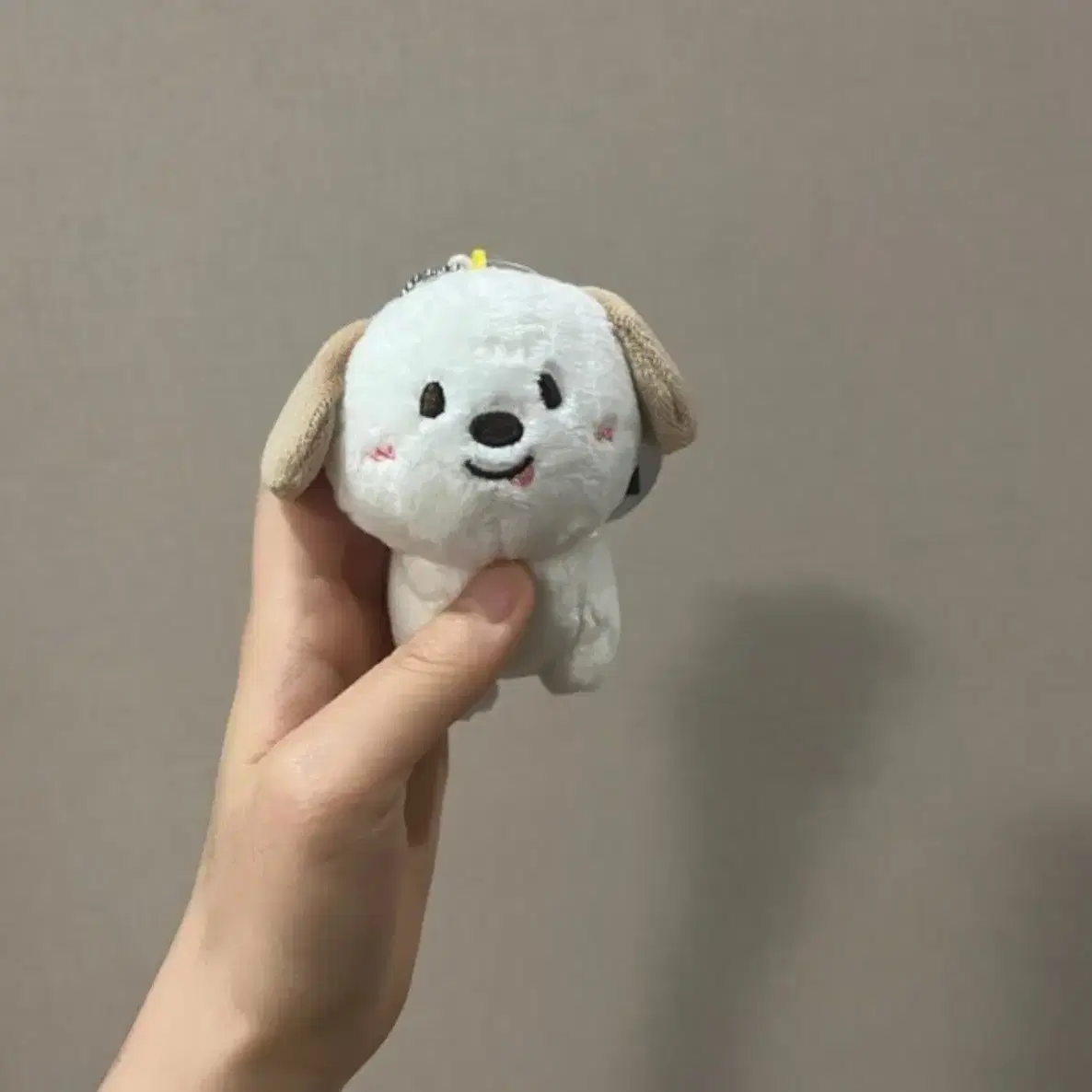 라이즈 멍룡이 미니,10cm,40cm 구해요