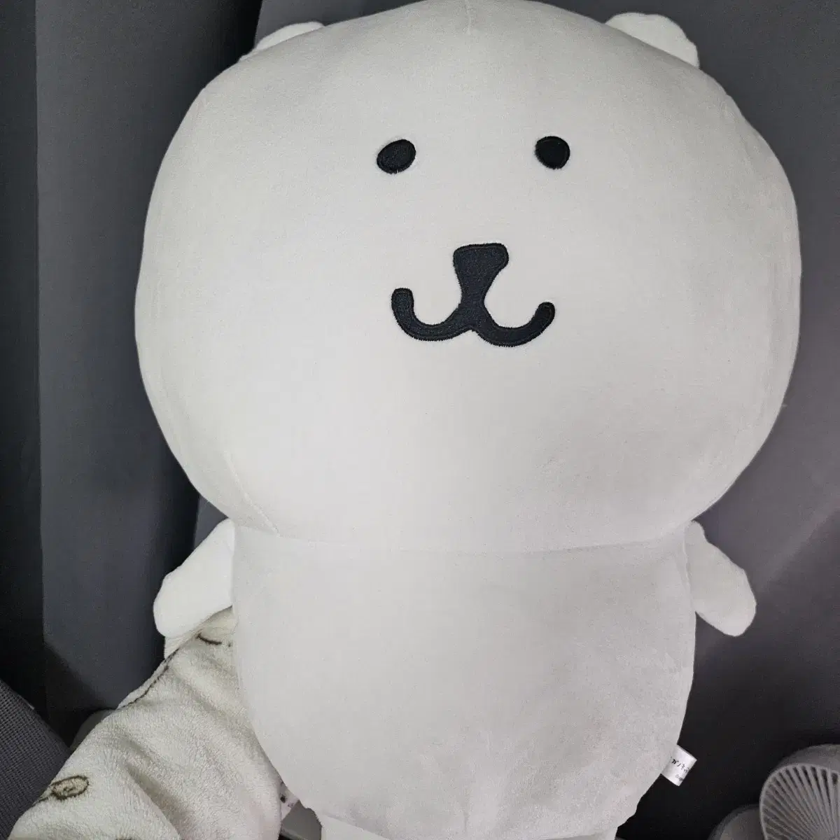 나가노 농담곰 45cm 후류