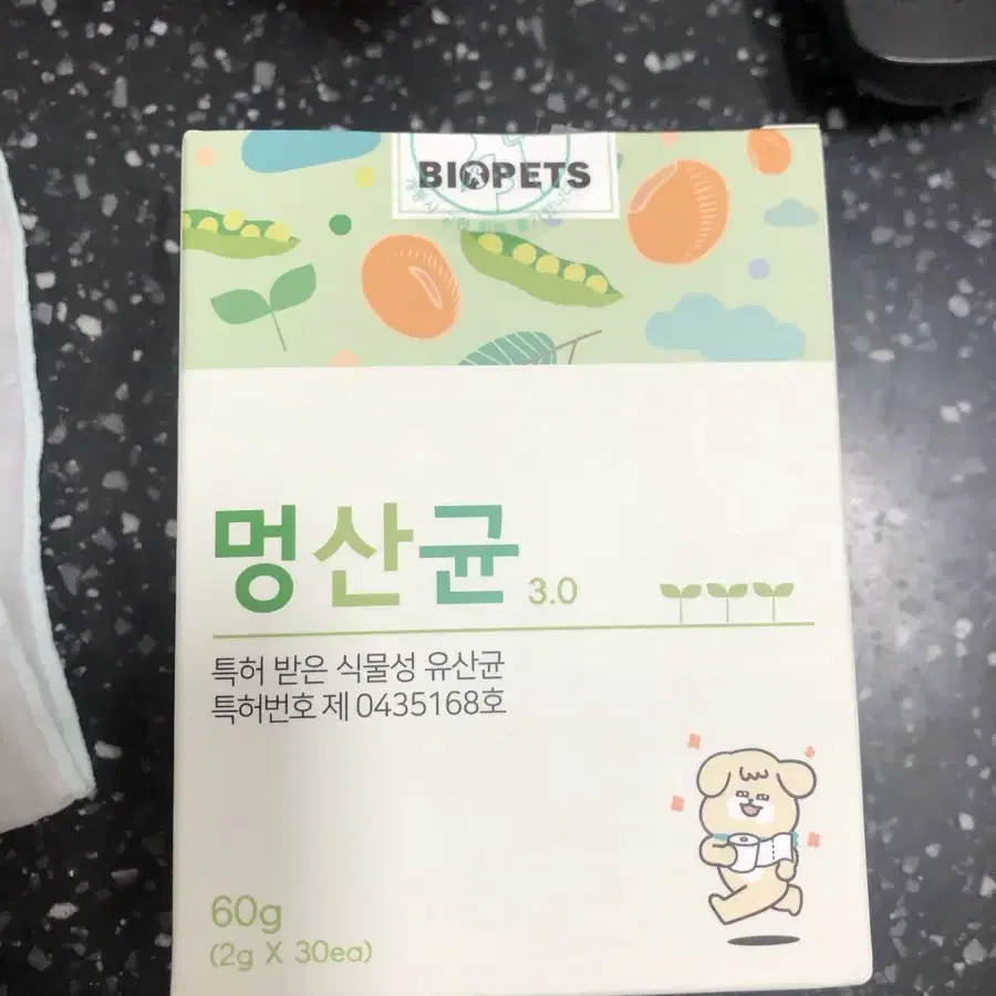 멍산균 강아지 유산균