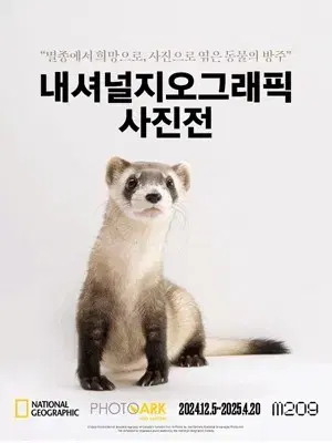 급처 내셔널지오그래픽 사진전 멸종위기동물 전시회 기간권