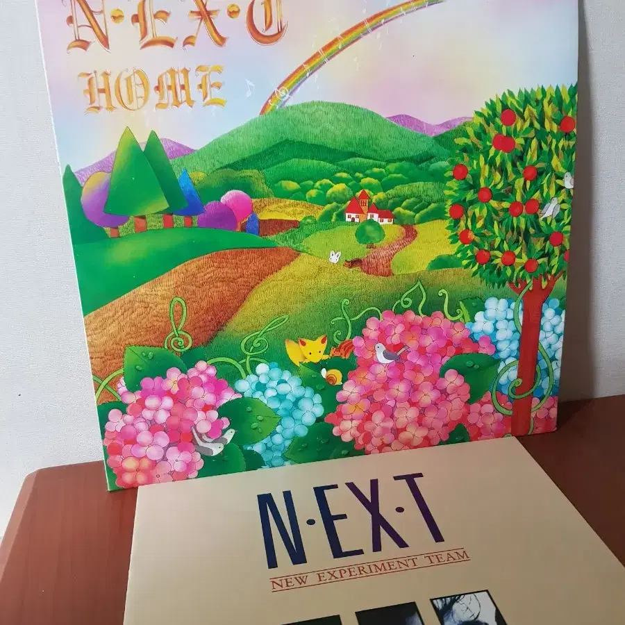 넥스트 N.EX.T 1집 1992년가요엘피가요lp 바이닐vinyl 신해철