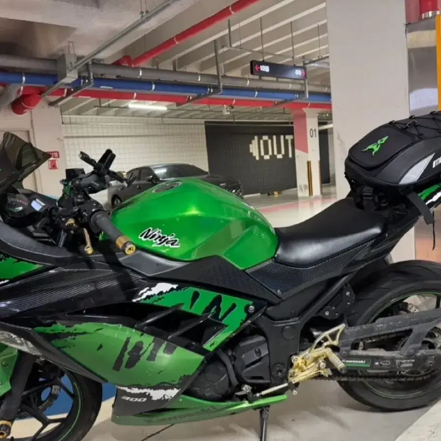 Ninja kawasaki 300