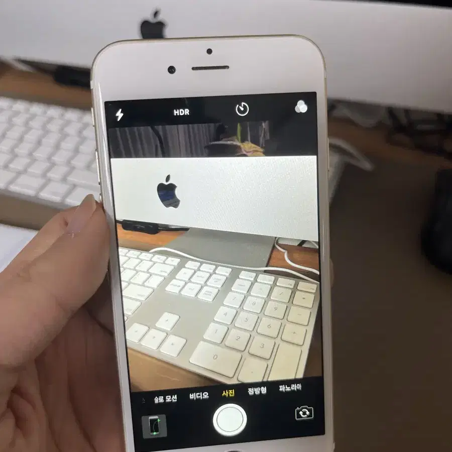 아이폰6골드 감성카메라촬영