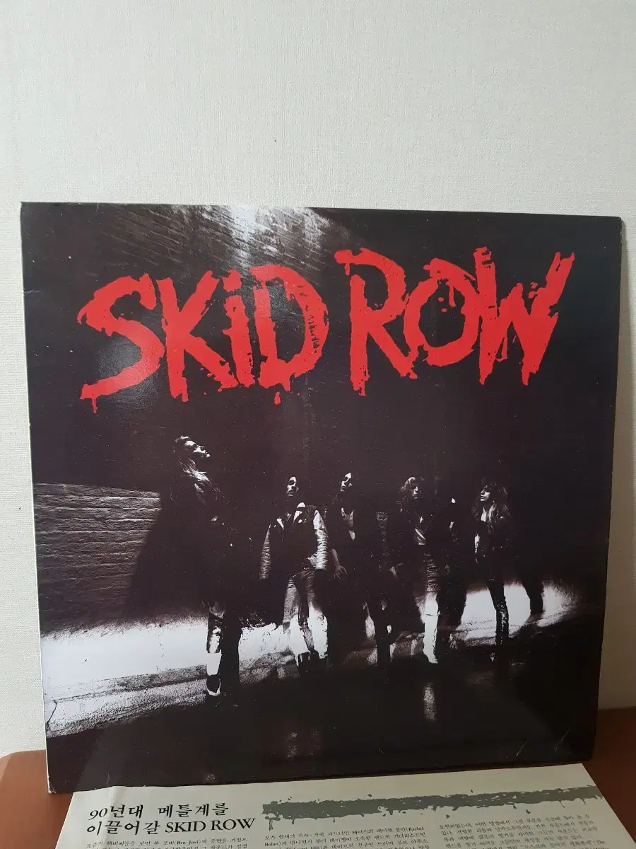 Skid Row 헤비메탈 록엘피 바이닐 vinyl 헤비메틀 Rocklp